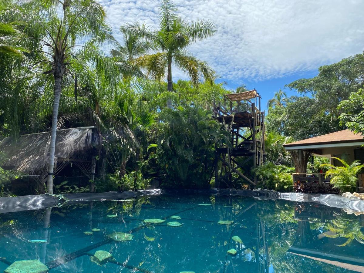 Jardin Secreto Centro Holistico Villa Acapulco Kültér fotó