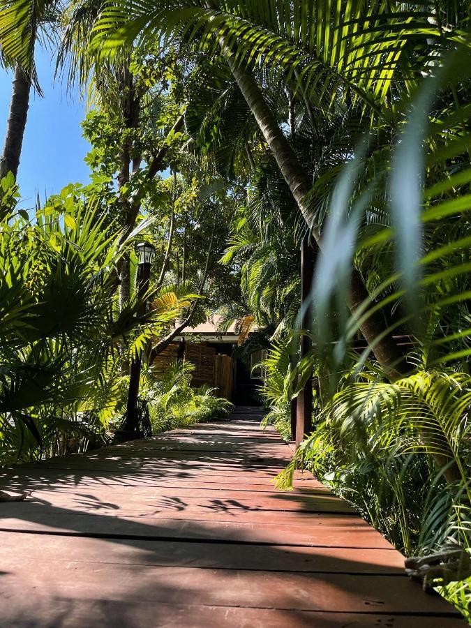 Jardin Secreto Centro Holistico Villa Acapulco Kültér fotó