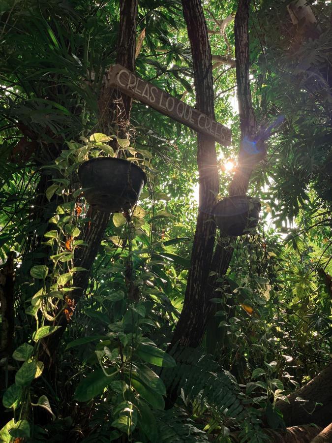Jardin Secreto Centro Holistico Villa Acapulco Kültér fotó