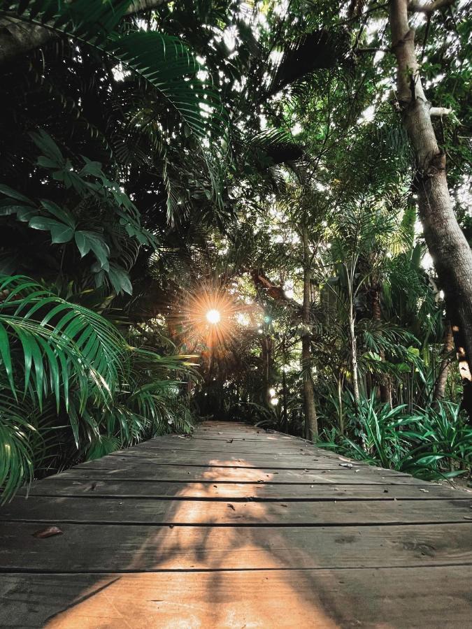 Jardin Secreto Centro Holistico Villa Acapulco Kültér fotó