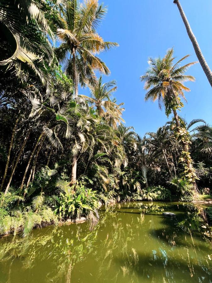 Jardin Secreto Centro Holistico Villa Acapulco Kültér fotó