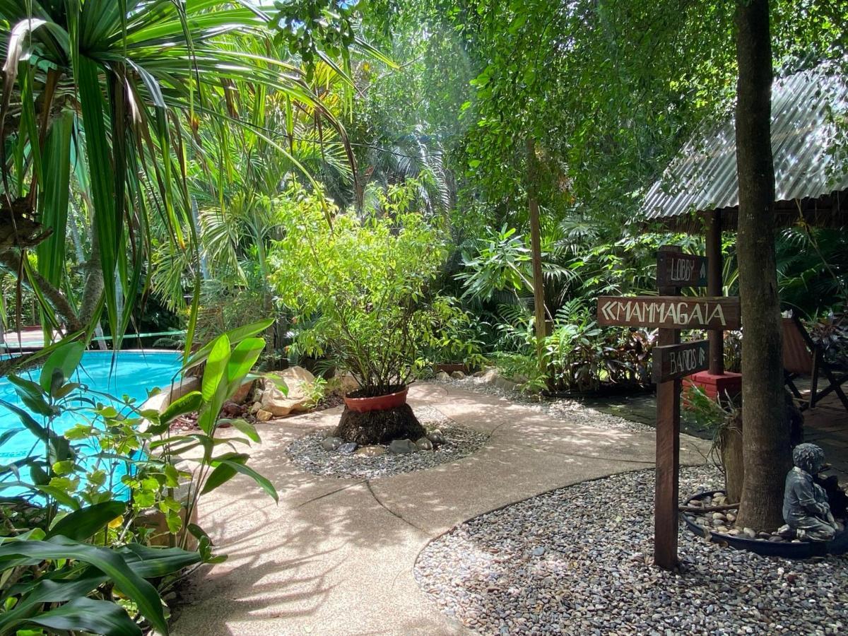 Jardin Secreto Centro Holistico Villa Acapulco Kültér fotó