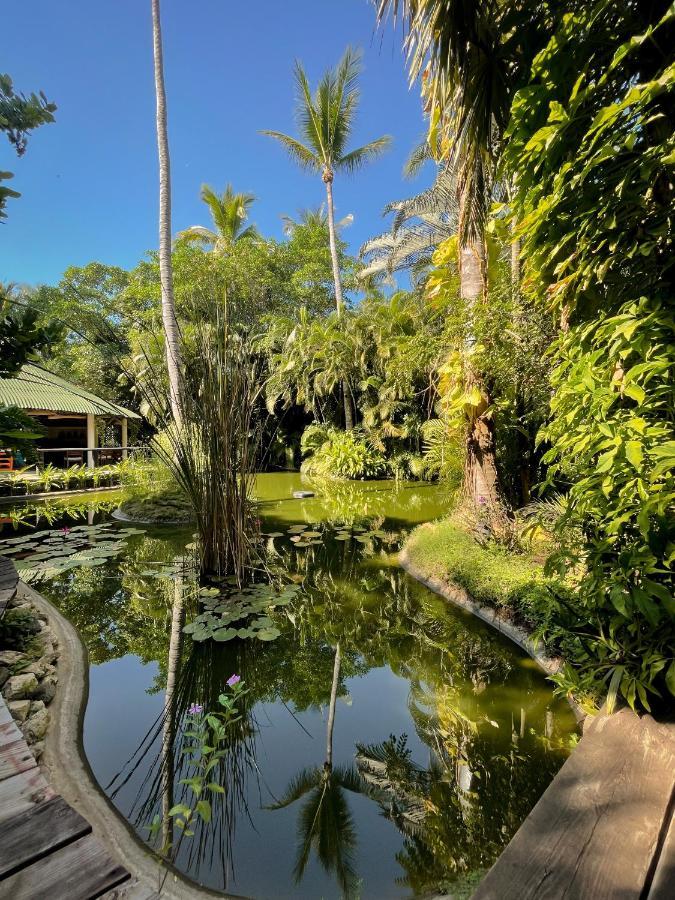 Jardin Secreto Centro Holistico Villa Acapulco Kültér fotó