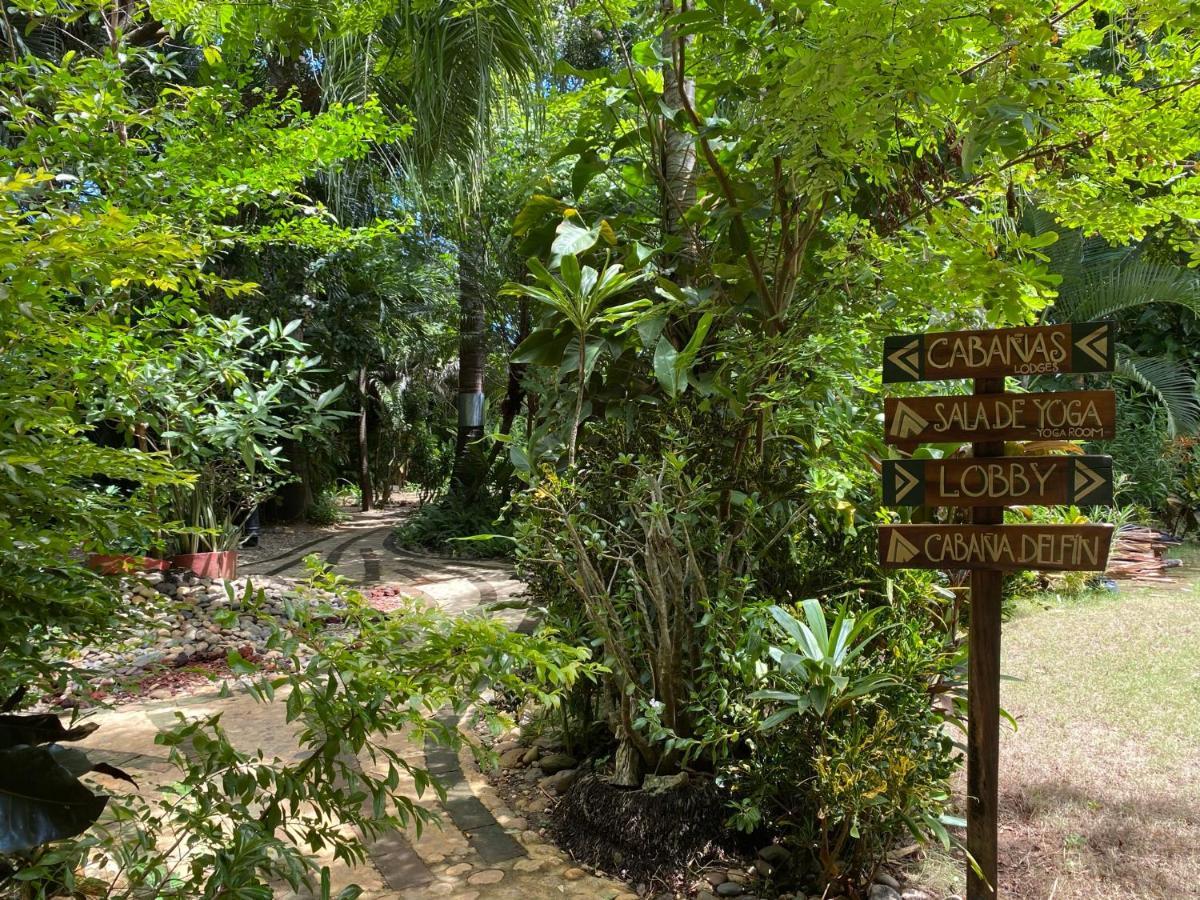 Jardin Secreto Centro Holistico Villa Acapulco Kültér fotó