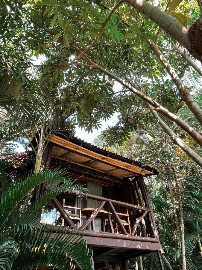 Jardin Secreto Centro Holistico Villa Acapulco Kültér fotó