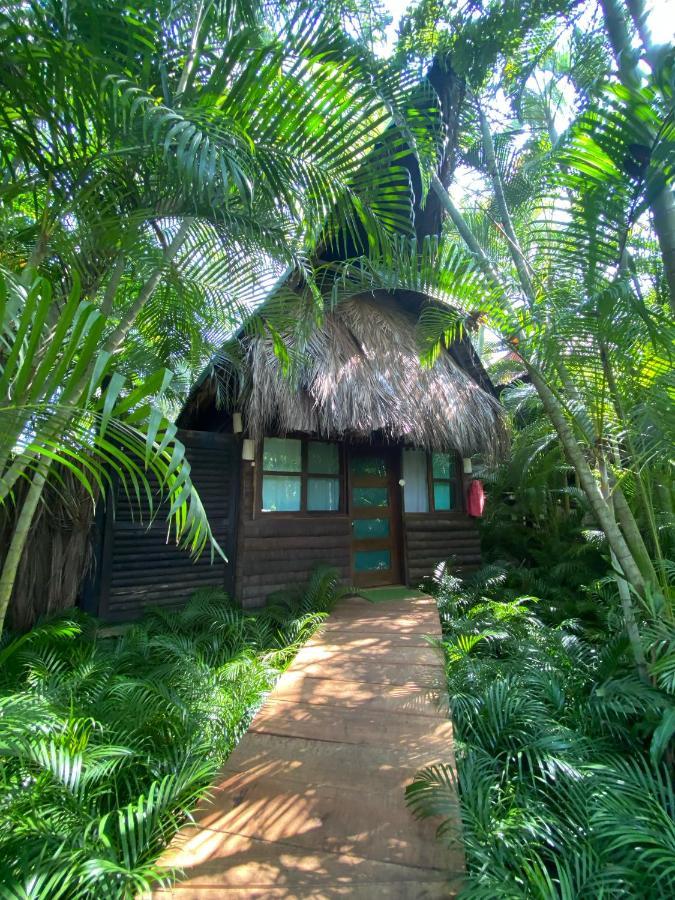 Jardin Secreto Centro Holistico Villa Acapulco Kültér fotó