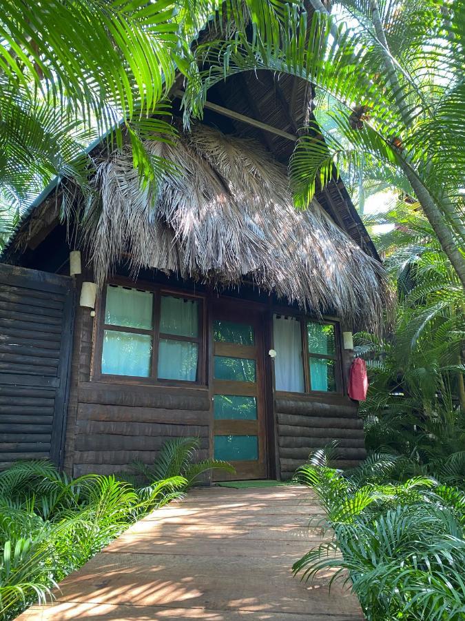 Jardin Secreto Centro Holistico Villa Acapulco Kültér fotó